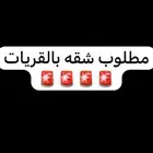 مطلوب ش قق ارضيه القريات