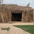 عريشش للبيع