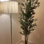 شجرة الزيتون