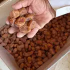 تمر خلاص فاخر