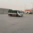 دينا شبك