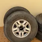 كفرات شواهين وجنوط لكزس