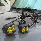 كشاف كبوت برتقالي