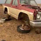 جيوب تشليح