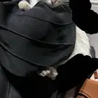 قط للتبني