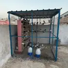 صندقة حمام مع حمام باكستاني