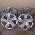 طيس يارس للبيع ب100ريال