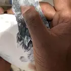 للبيع انثى تيدي