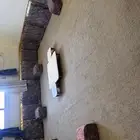 للبيع مجلس وخزانه البيع مستعجل