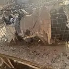 حمام