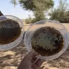 عسل