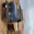 حصناني للبيع 68