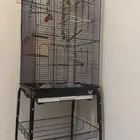 قفص عصافير - Birdcage