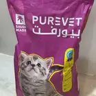 اكل قطط صغيره