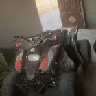 دباب سويدي
