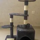 بيت للقطط