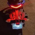 ريس 250cc سزوزكي