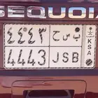 لوحه مميزه 4443