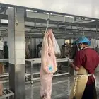 ذبائح نعيم _ نجدي _ حري