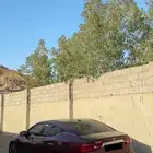 مكسيما 2016 SV