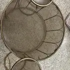 طوله للبيع