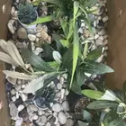 حجر زينه جديد