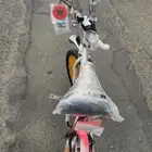 سيكل كوبرا