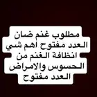 مطلوب غنم اللبيع جمله العدد مفتوح