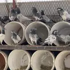 حمام باكستاني