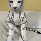 العاب موسم جدة نظيفة وجديدة