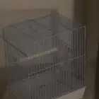 قفص طيور