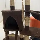 بيت قطط
