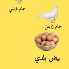 فراخه زغاليل حمام فرنسي