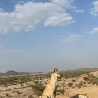 ذي   ب موالف للبيع