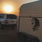 نقل خيل من الجنوب عسير ابها الى القصيم .الطايف.عفيف.الرياض