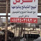 نوفر الذبايح مع صلخ وتوصيل