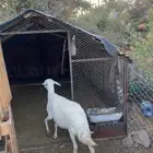 ثلاث ظان دفيع دفيعها متخر كلها مسان نظيفه وطيبه