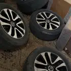 جنوط