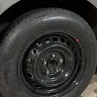 جنوط سوح
