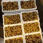 حبحب وا تمر