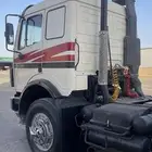 راس سقس البي جفالي