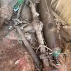 وادي الدواسر البيع