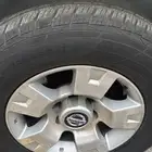 جنوط فتك نيسان