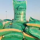 ذرة صفراء في تبوك