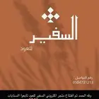 عوده اصليه درجه أولى مناسبه للعزايم الغير رسميه والزيارات