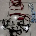 مستلزمات وعدة خيل