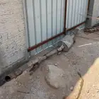 كت باك سييرا كورسا