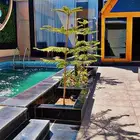 شاليهات الحياة الفندقية