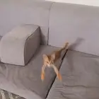 مطلوب استيديو حي المربع او الملز او الوشام او الوزارات