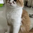 أحيانا  كل ما تحتاجه هو نظرة صغيرة لتملأ يومك سعادة